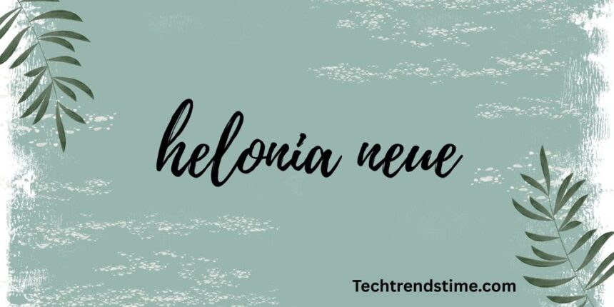 helonia neue