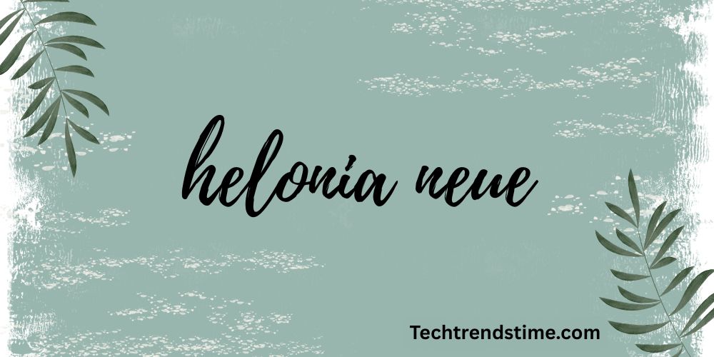 helonia neue