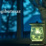 Vajehgibutmaz